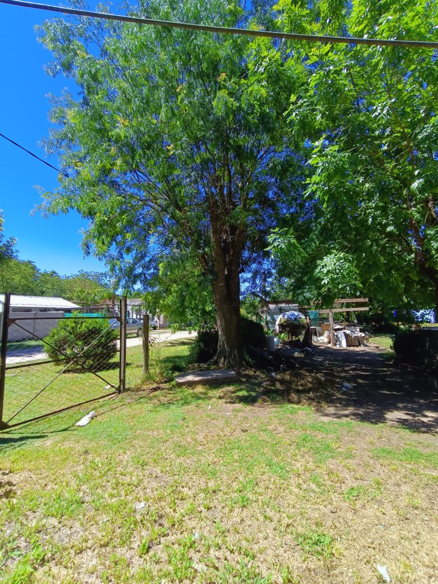 IMG-20241205-WA0142
