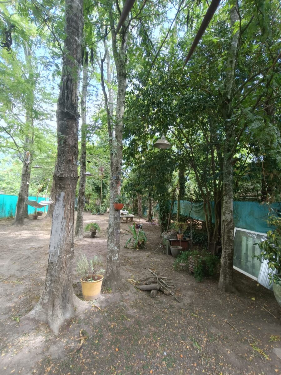 WhatsApp Image 2026-03-17 at 15.38.51 (2)